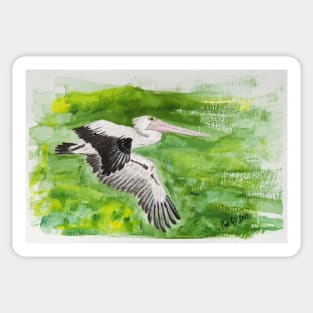 Gliding Pelican Sticker